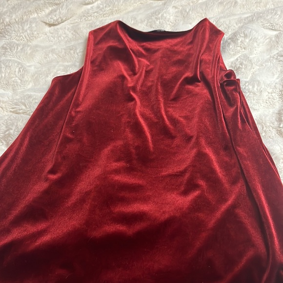 Ellen Tracey velvet top, so beautiful - Picture 5 of 5